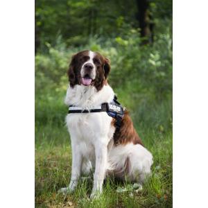 Julius-K9 IDC-Powertuig 71-96cm blauw