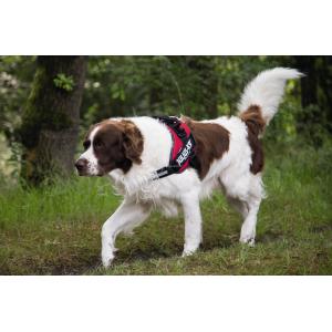 Julius-K9 IDC-Powertuig 71-96cm rood