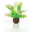 BiOrb Caulerpa groen aquarium decoratie