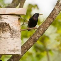 Dieren in je tuin